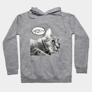 Plotting Cat- Everything is going according to plan Hoodie